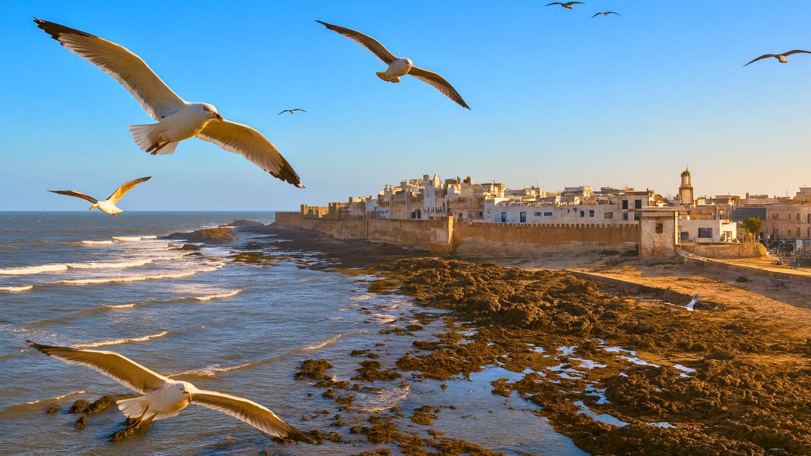 Essaouira's Atlantic waterfront